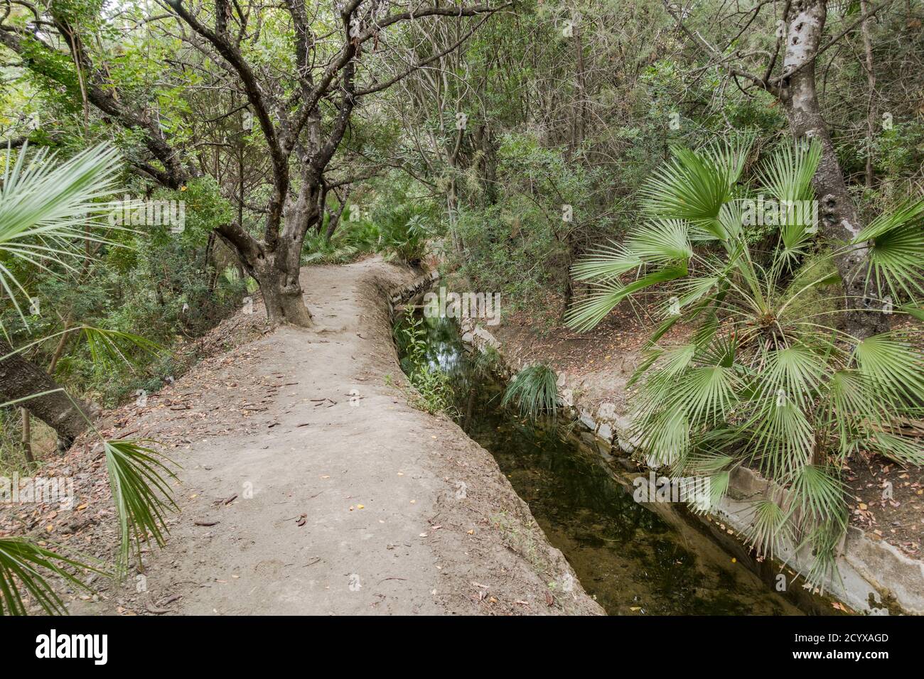 Antica acequia o séquia corso d'acqua gestito dalla comunità utilizzato per l'irrigazione su un sentiero. Benahavis, Andalusia, Spagna. Foto Stock