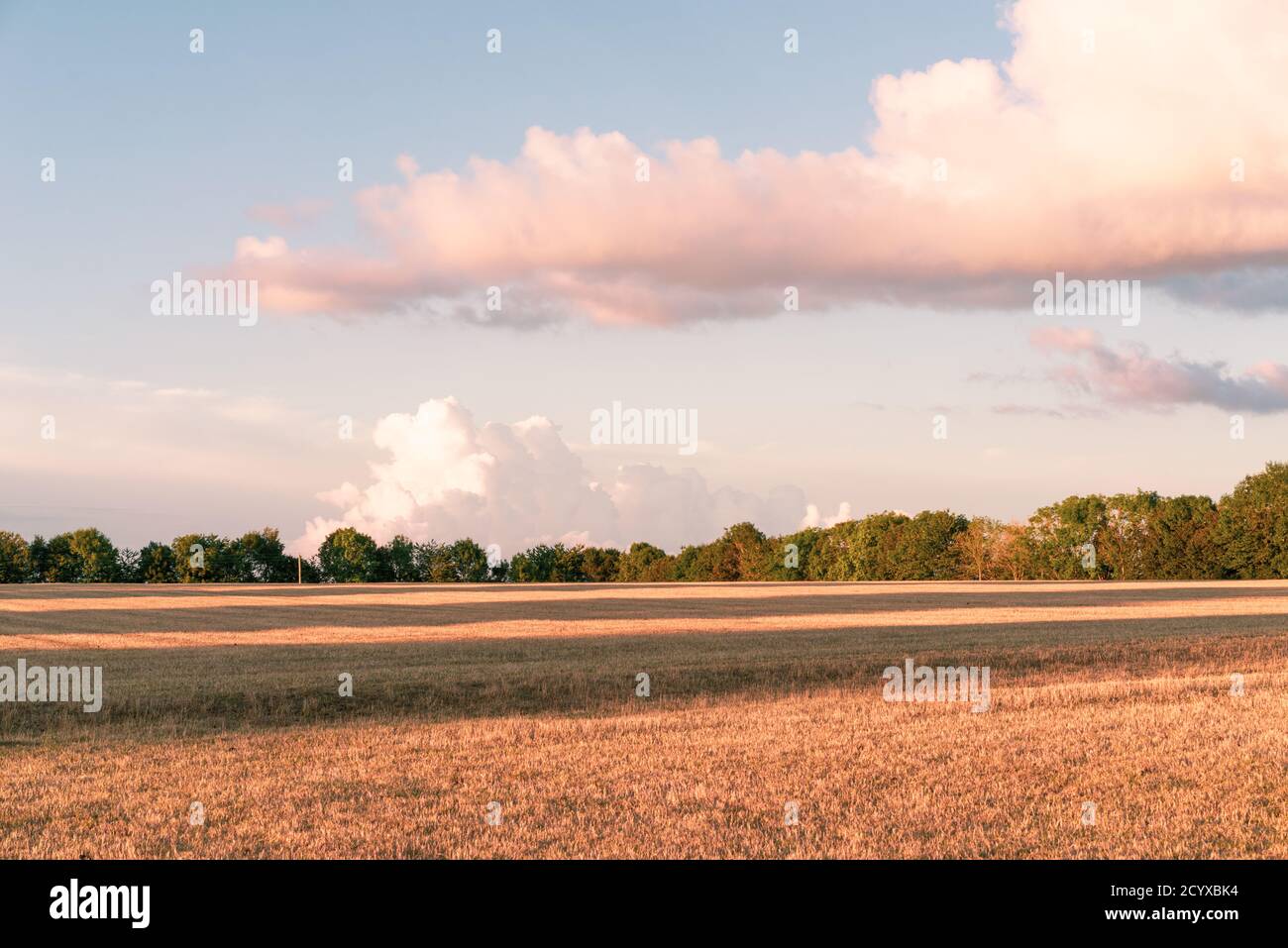Lunghe ombre su terreni agricoli nel Sussex occidentale, Inghilterra Foto Stock