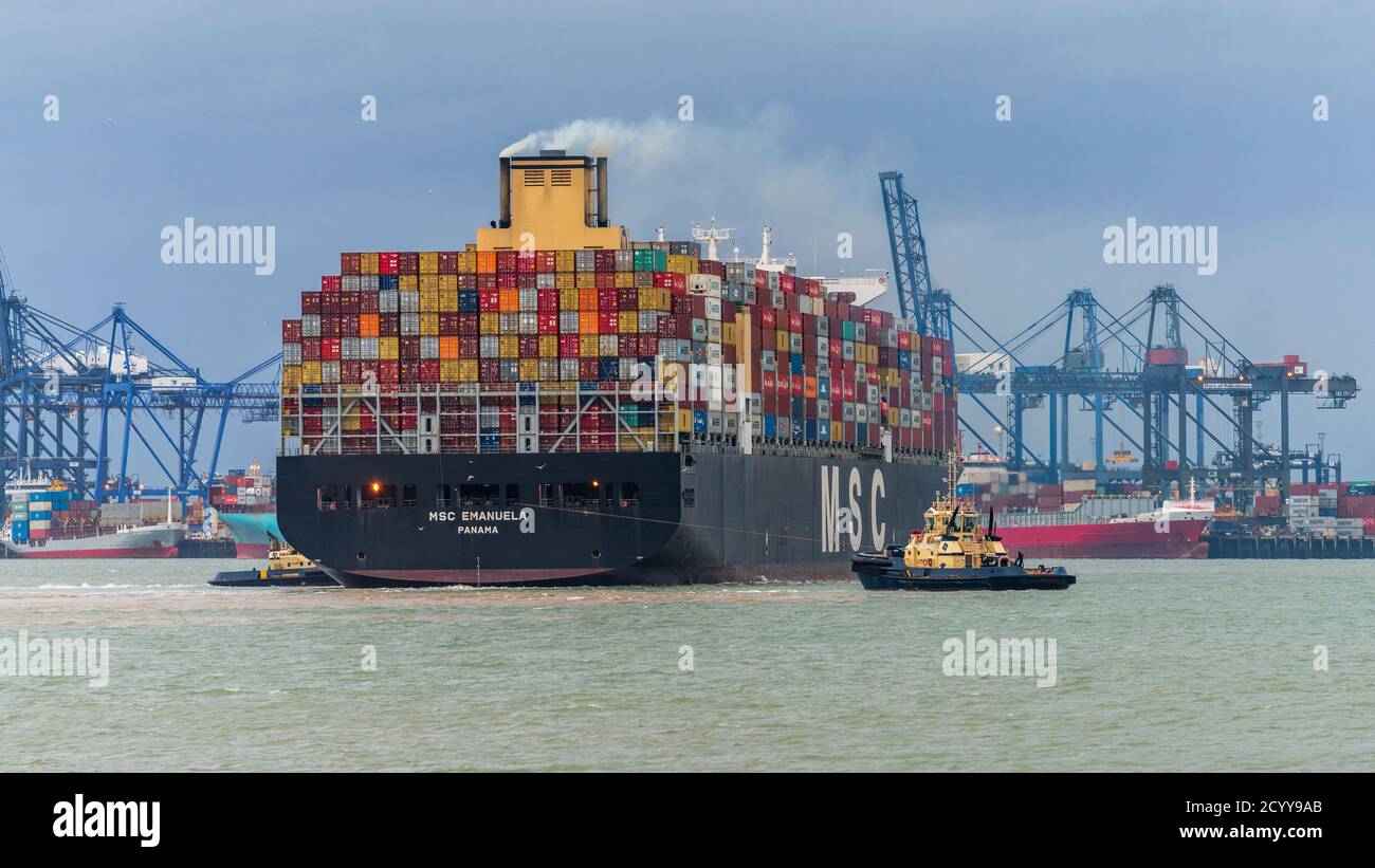 Importazioni britanniche in arrivo al porto di Felixstowe - MSC Emanuela Container Ship arriva al porto di Felixstowe, il più grande porto di container del Regno Unito. Commercio del Regno Unito. Foto Stock