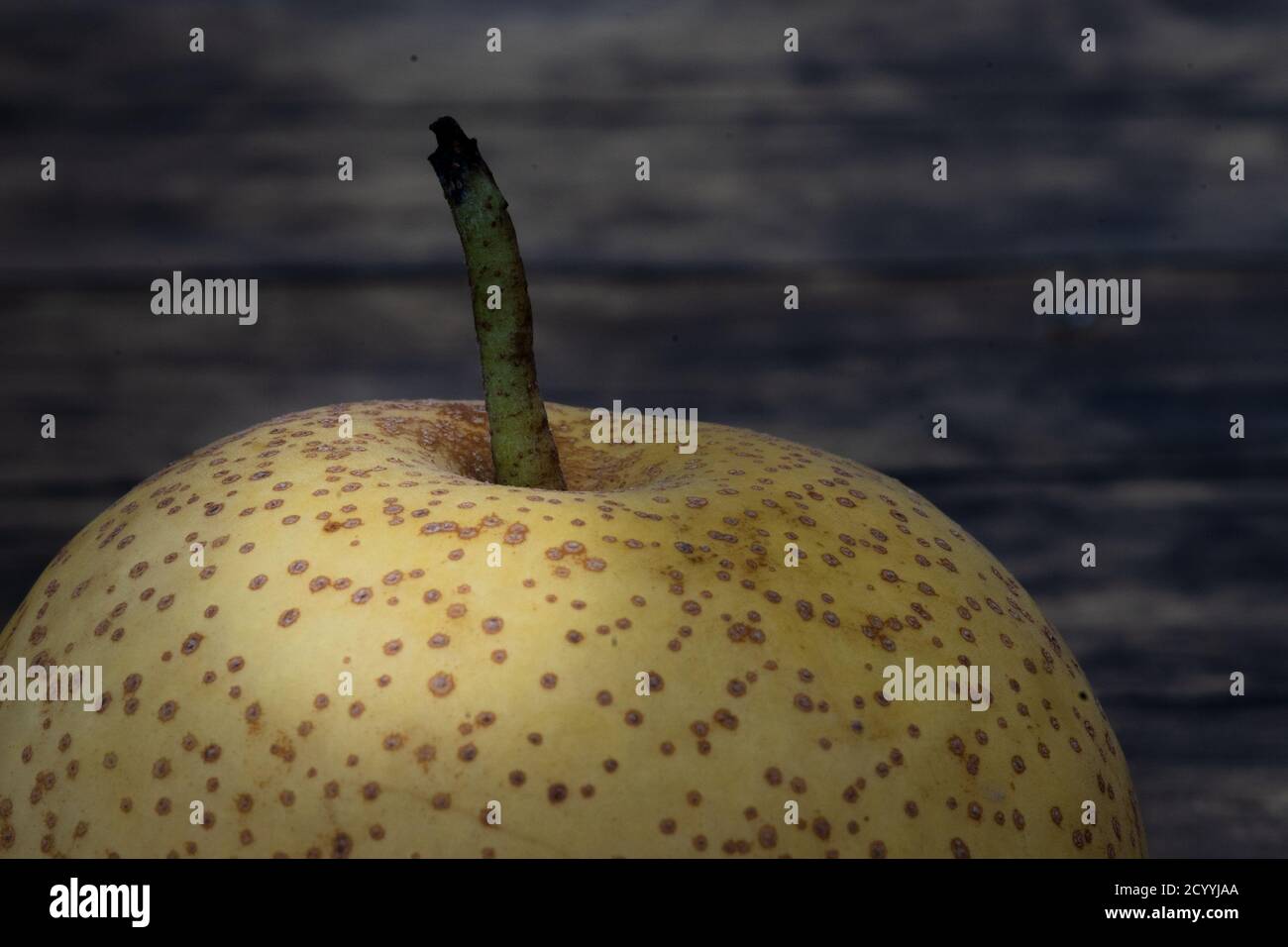 Primo piano sulla cima di una pera gialla di mela, pirifolia di pirus, con copy-space-fruit still life Foto Stock