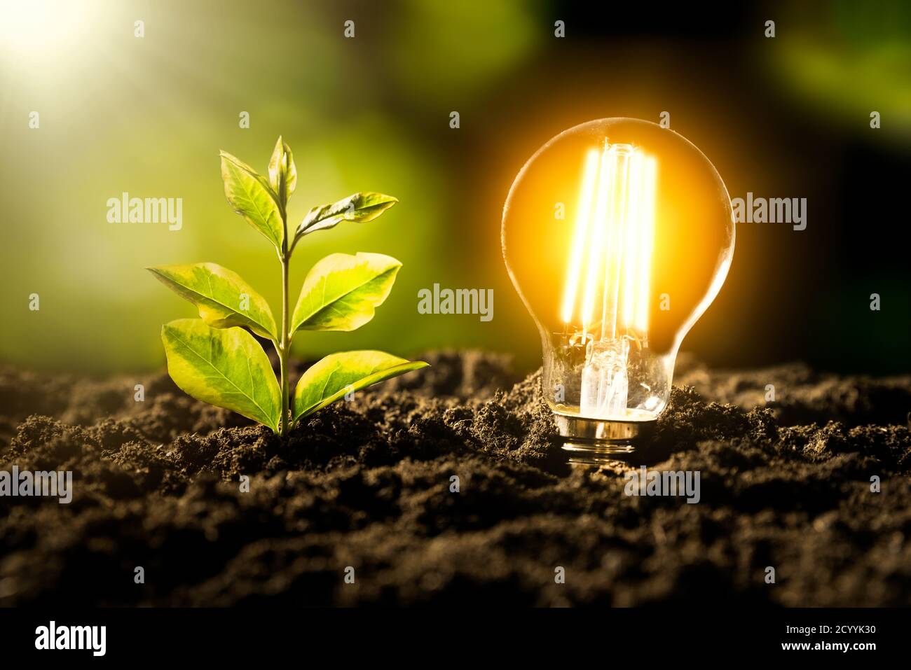 Lampadina a LED incandescente. Ambiente ecologico e sostenibile Foto Stock