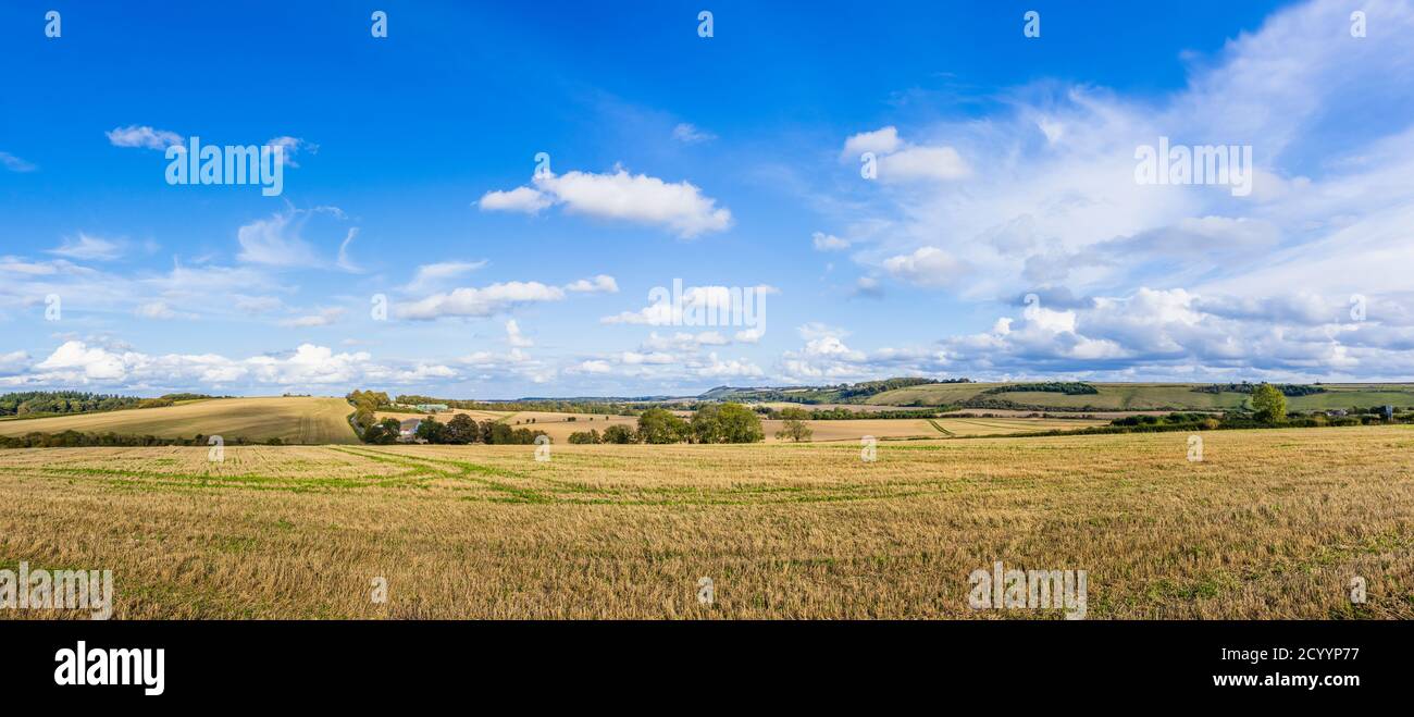 Vista panoramica della campagna incontaminata del Wiltshire rurale e dei terreni coltivabili dopo il raccolto vicino a Great Bedwyn e Marlborough, Wiltshire, all'inizio dell'autunno Foto Stock