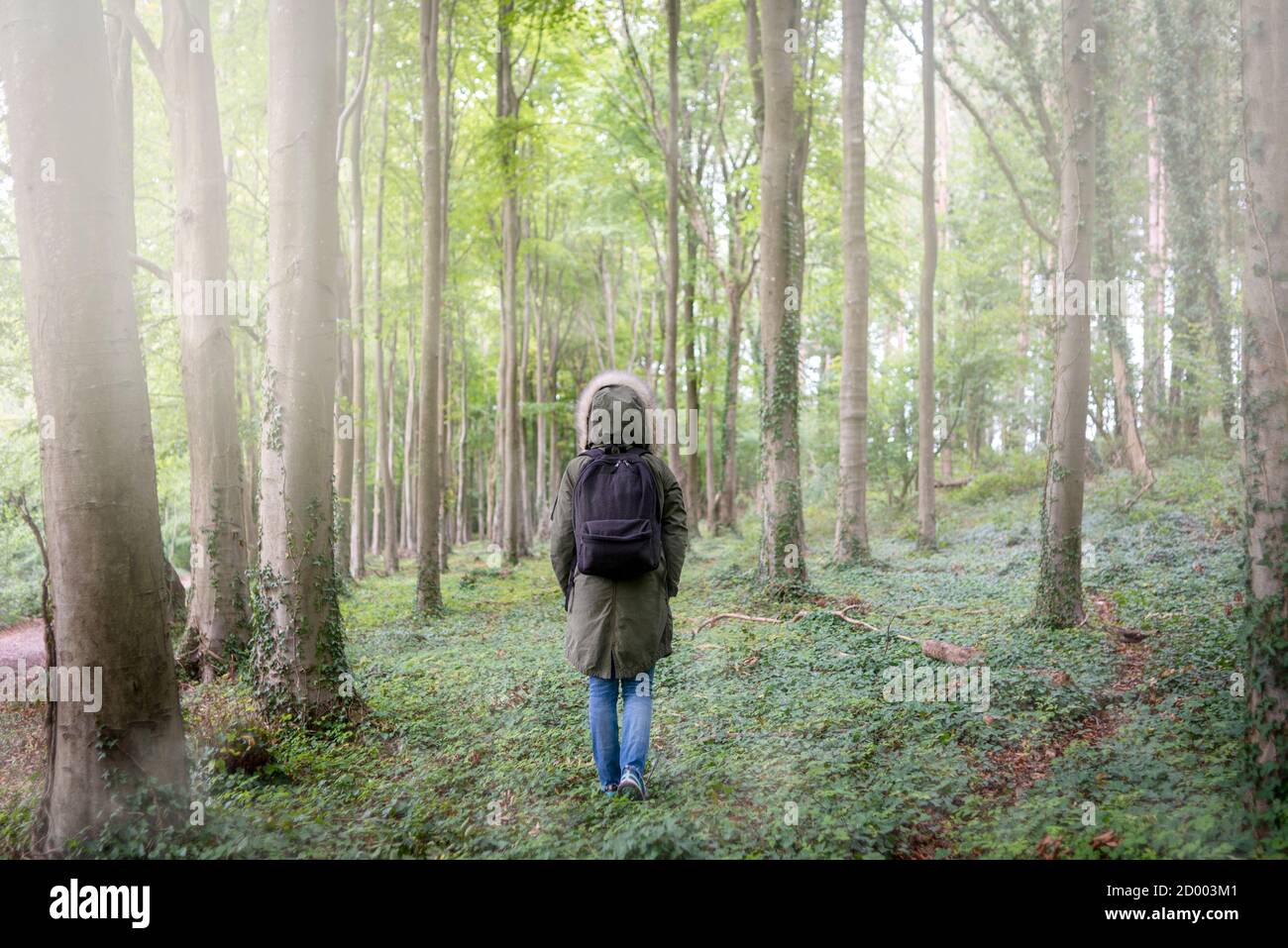 Vista posteriore di una donna che cammina attraverso una foresta nebbiosa, indossando un cappotto di parka e uno zaino Foto Stock