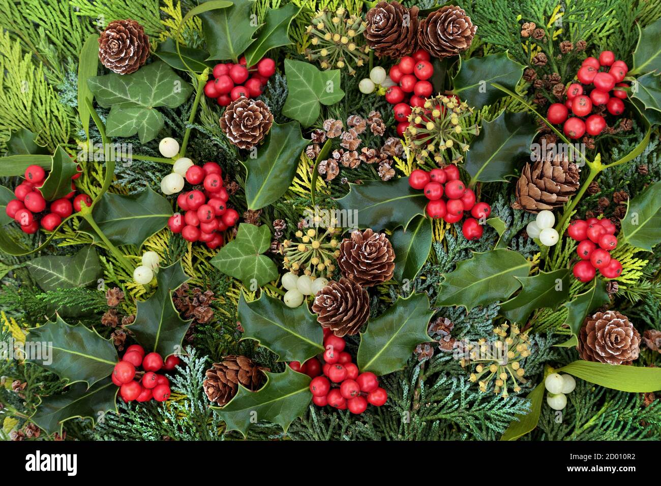 Sfondo invernale tradizionale di agrifoglio, mistetoe, edera, coni di pino e foglie di cipresso di cedro sempreverde. Foto Stock