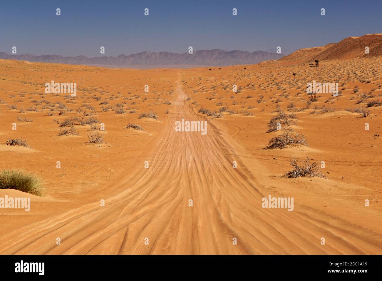 La strada che conduce ad al Wasil in Wahiba Sands (Ramlat al Wahaybah) in Oman. Foto Stock