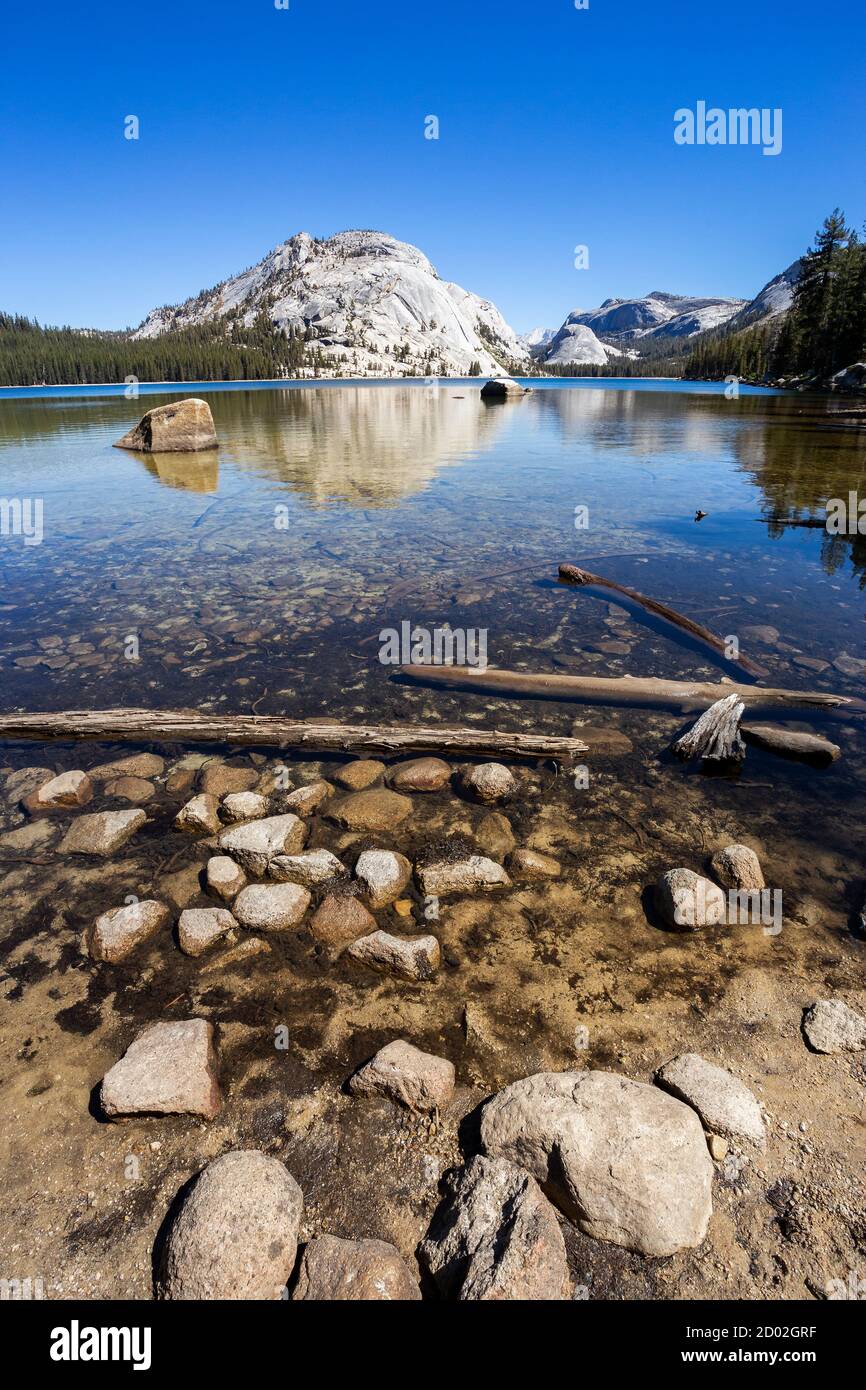 Tenaya Lake, il Parco Nazionale Yosemite in California Foto Stock