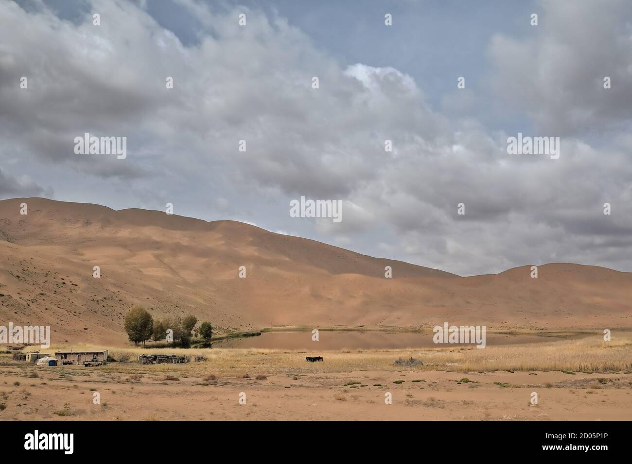 Lago Tamaying tra dune di sabbia-deserto di Badain Jaran. Alxa Plateau-Inner Mongolia-Cina-1065 Foto Stock