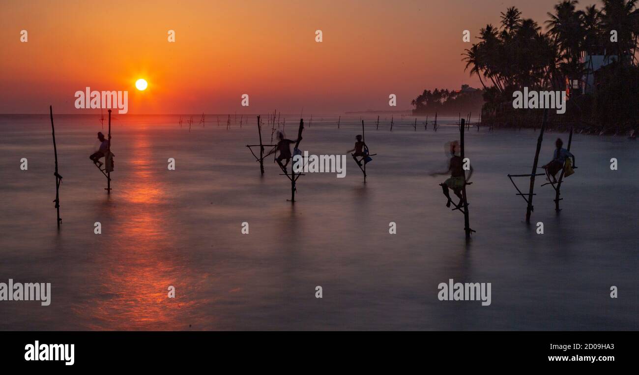 Galle, Sri Lanka - 2019-04-01 - SStilt pescatori dello Sri Lanka trascorrere tutto il giorno in piccole piattaforme a pescare per la cena. Foto Stock