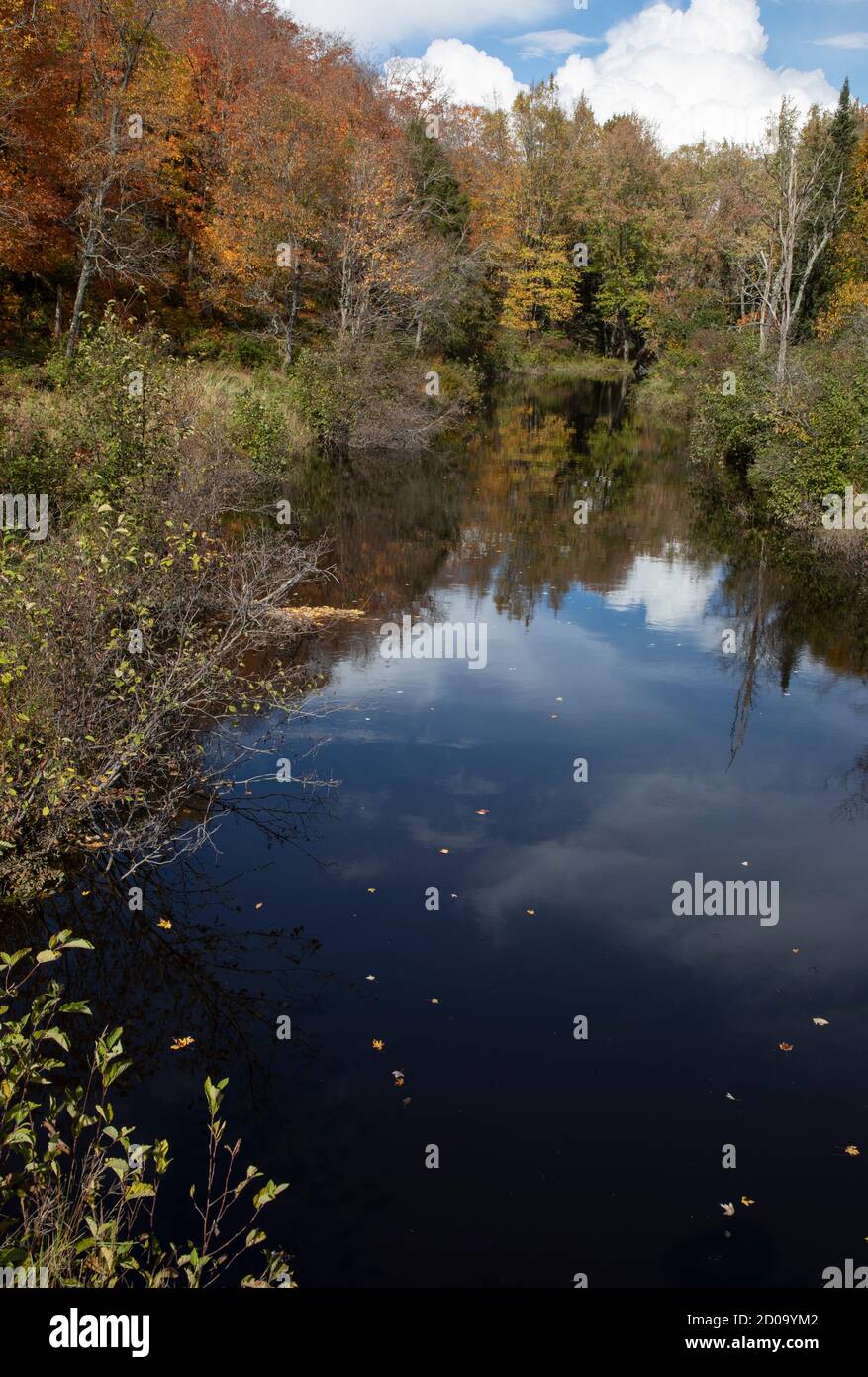 L'autunno colorato parte intorno ad un fiume Foto Stock