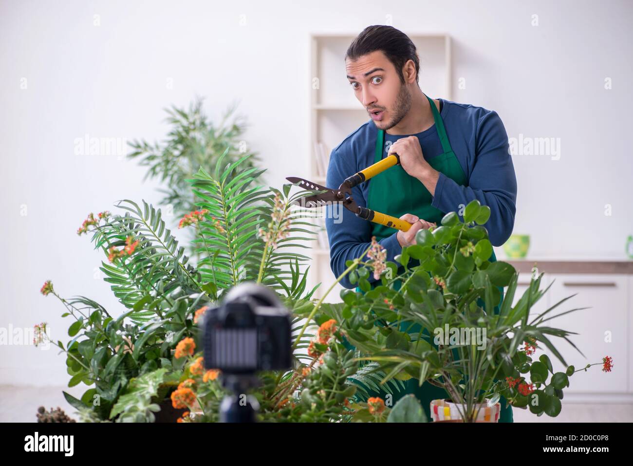 Giardiniere giovane con piante al chiuso Foto Stock