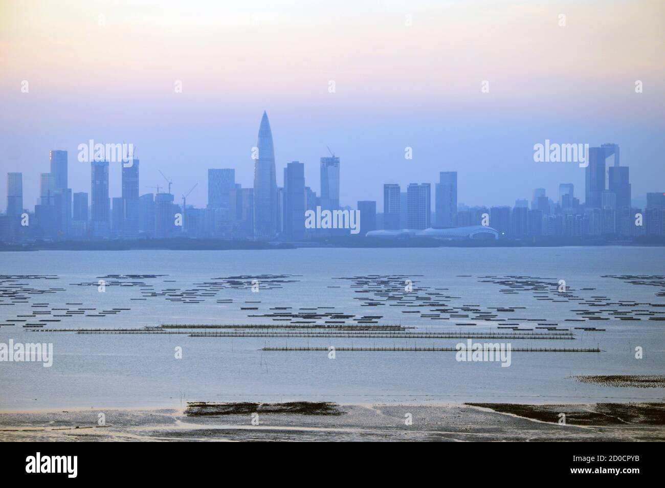 Skyline dell'area di Houhai del quartiere di Nanshan, Shenzhen, Cina, vista dall'altra parte di Deep Bay Foto Stock