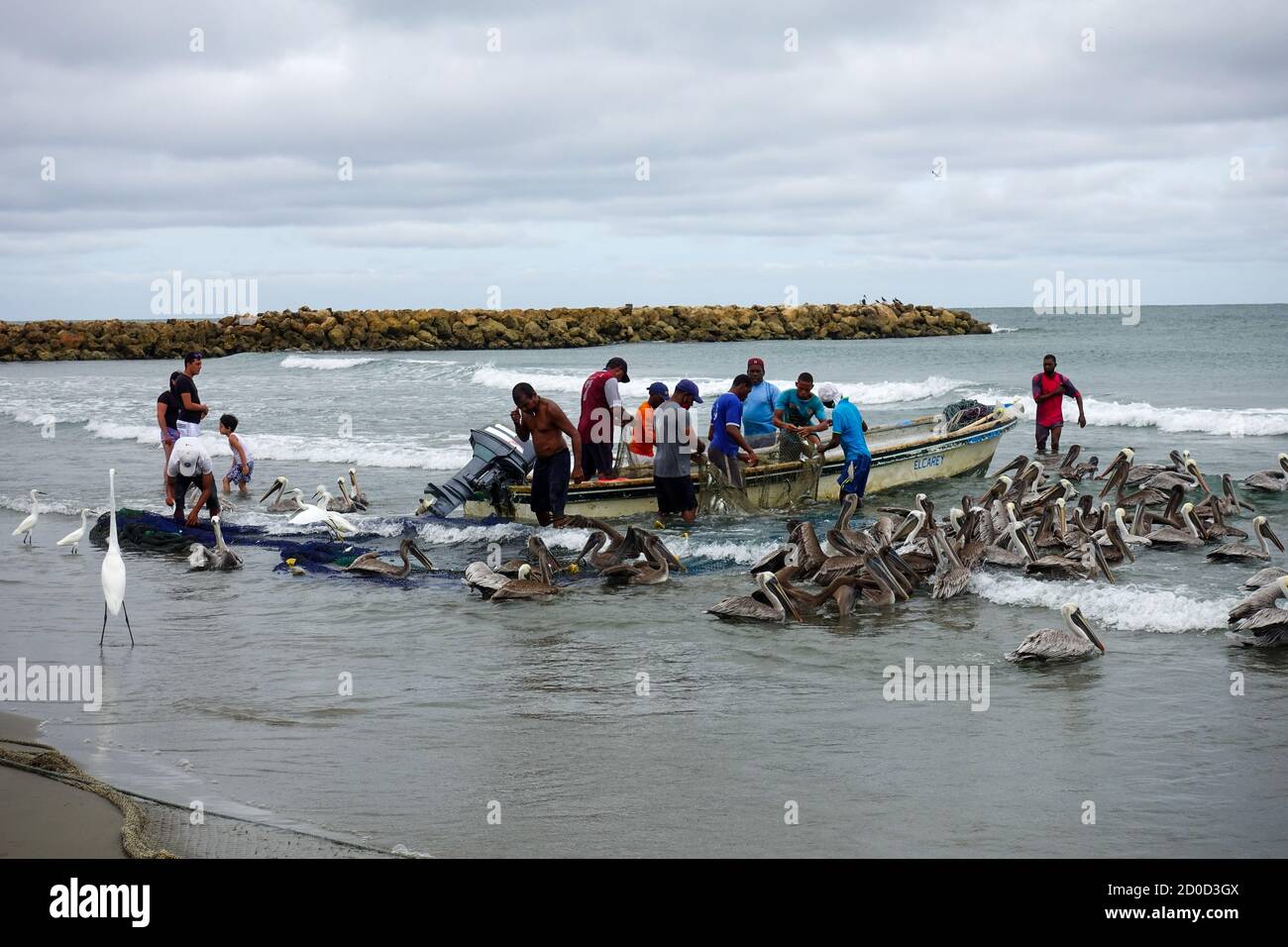 Cartagena, Bolívar/Colombia; 09/30/2020: Pescatore che porta le reti nella spiaggia di Bocagrande. Uomini che lavorano nella pesca artigianale seguiti dal pellicano 2020 Foto Stock