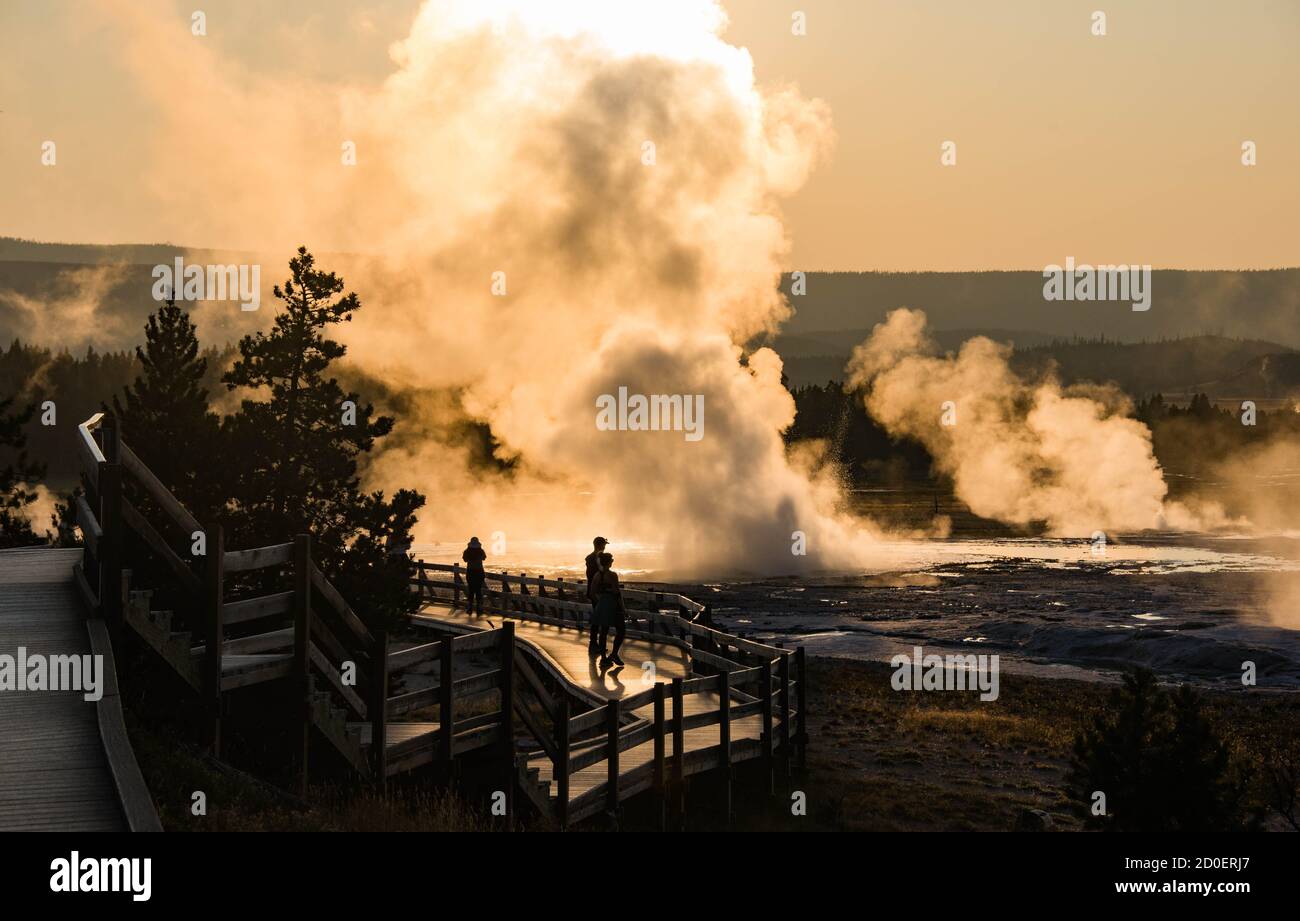 Clepsydra Geyser che erutta al tramonto, Lower Geyser Basin, Yellowstone National Park, Wyoming, USA Foto Stock