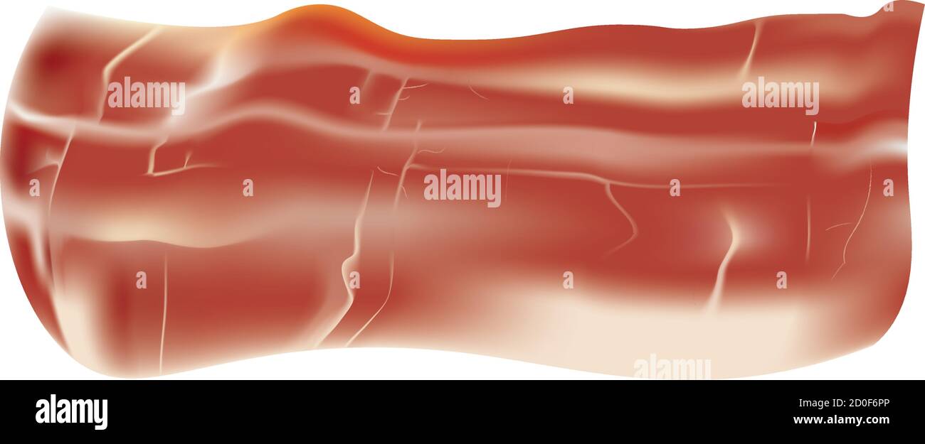 Pancetta fresca su sfondo bianco, vettore Illustrazione Vettoriale