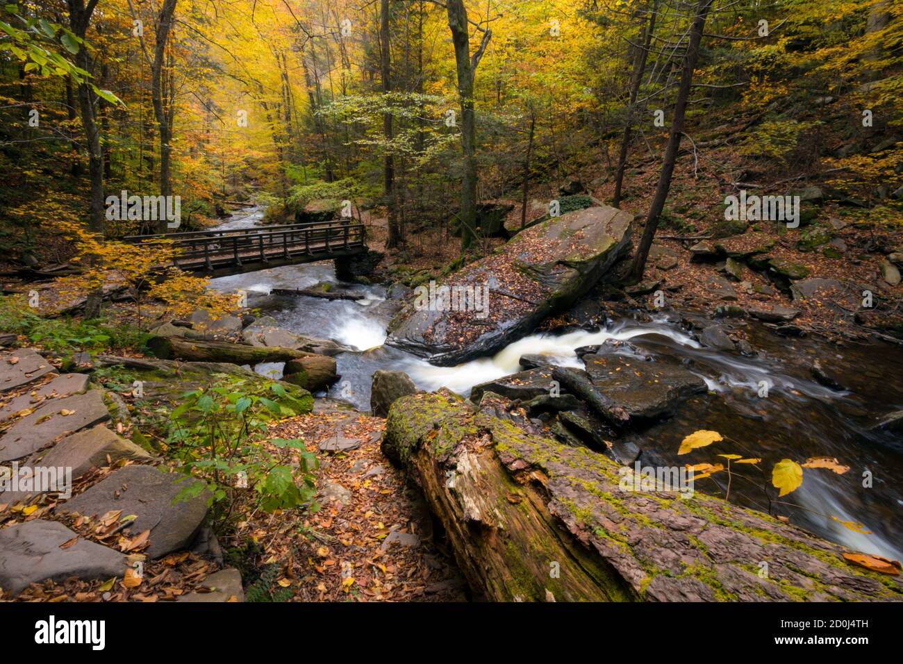 paesaggi autunnali pacifici e colorati di ispirazione, con cascate e Stream nel parco statale Ricketts Glenn in Pennsylvania Foto Stock