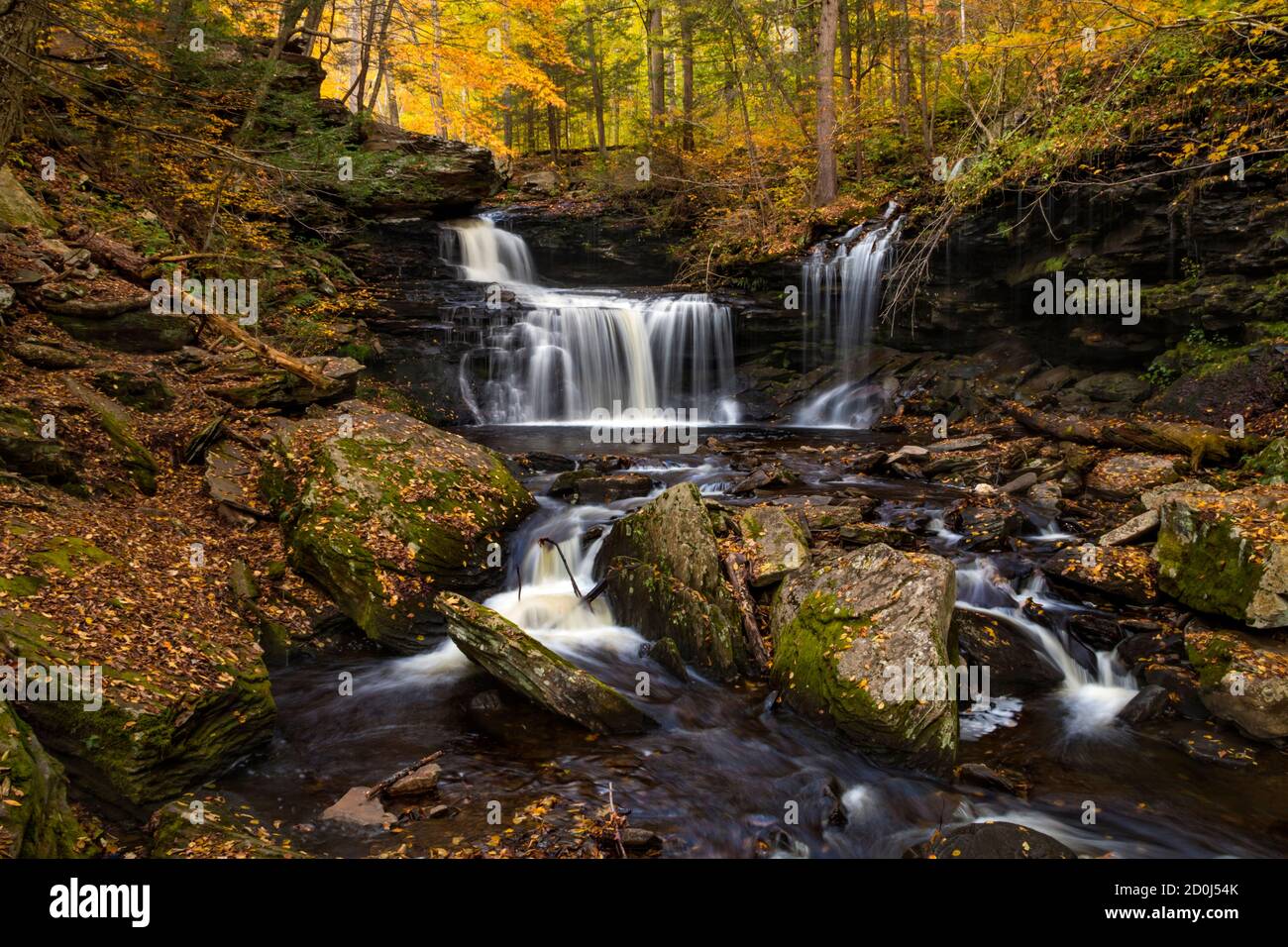 paesaggi autunnali pacifici e colorati di ispirazione, con cascate e Stream nel parco statale Ricketts Glenn in Pennsylvania Foto Stock