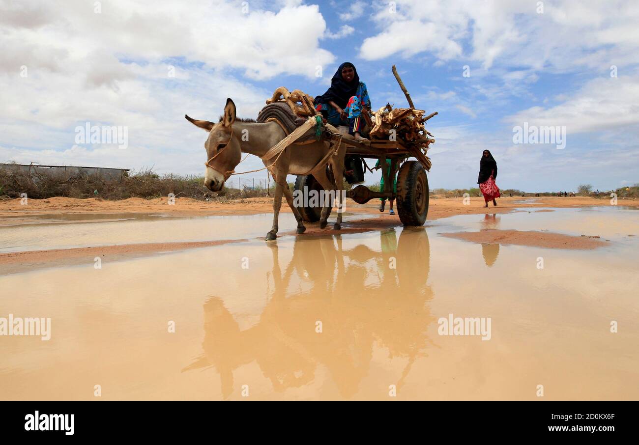 Una donna rifugiata somala appena arrivata guida il suo asino lungo una strada allagata nel campo profughi dell'estensione IFO a Dadaab, vicino al confine tra Kenya e Somalia, il 19 ottobre 2011. REUTERS/THOMAS MUKOYA (KENYA - TAGS: SOCIETÀ CIVILE DISORDINI TPX IMMAGINI DEL GIORNO) Foto Stock