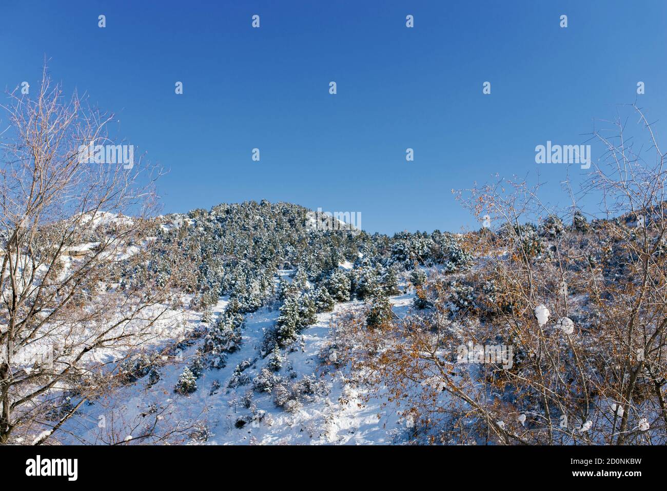 Inverno nelle montagne dell'Uzbekistan. Il Resort di Beldersay. La catena montuosa di Tian Shan Foto Stock