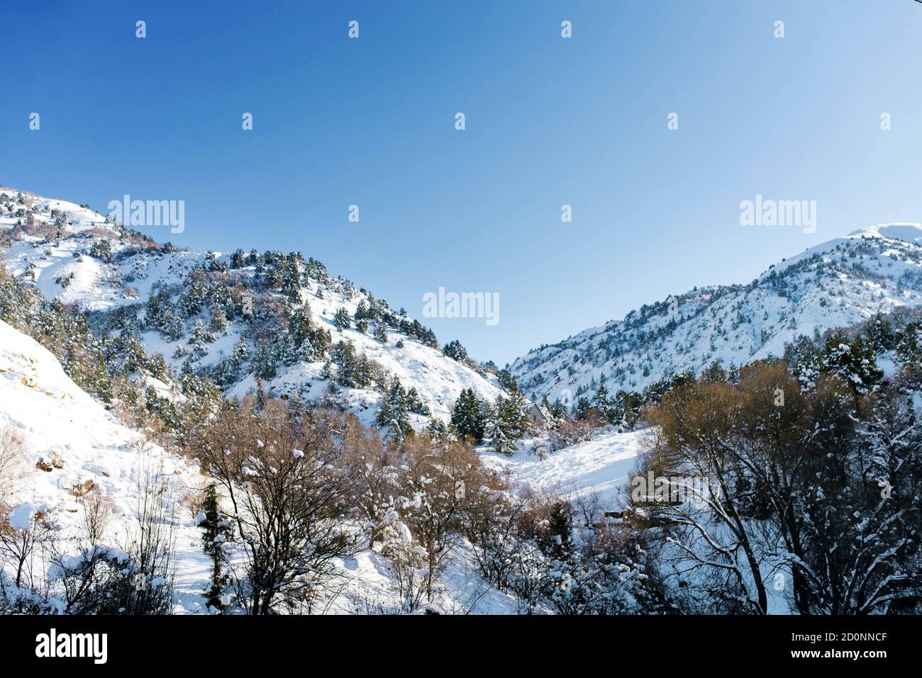 Tian Shan sistema di montagna in inverno in Uzbekistan. Giorno di sole invernale Foto Stock