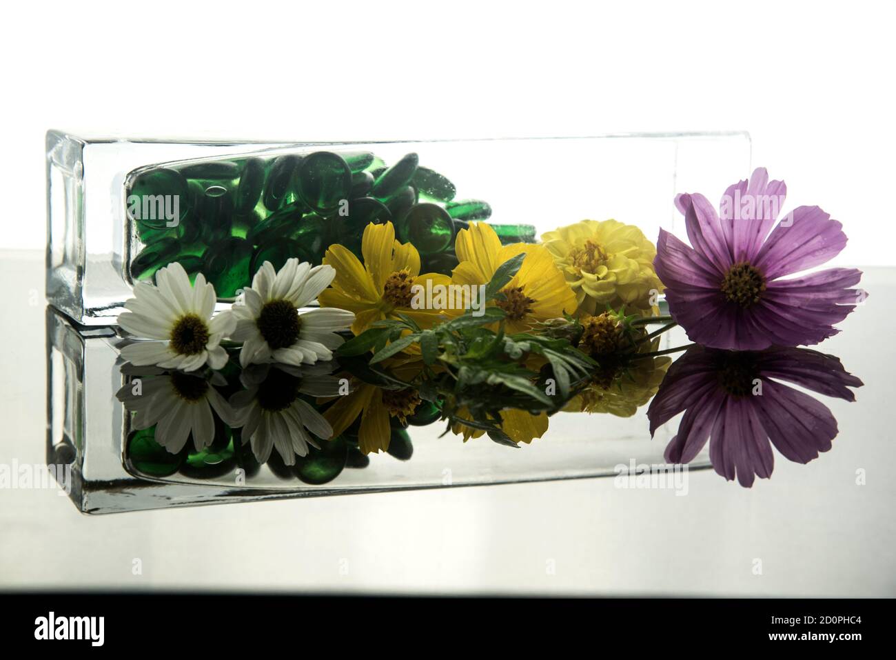incredibile bouquet di fiori in retroilluminazione orizzontale Foto Stock