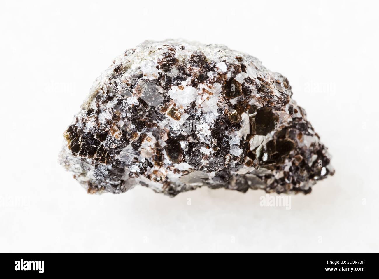 Macrofotografia di campione di minerale naturale da collezione geologica - minerale di flogopite cruda (mica di magnesio) su roccia dal deposito di Kovdor, Kola Foto Stock