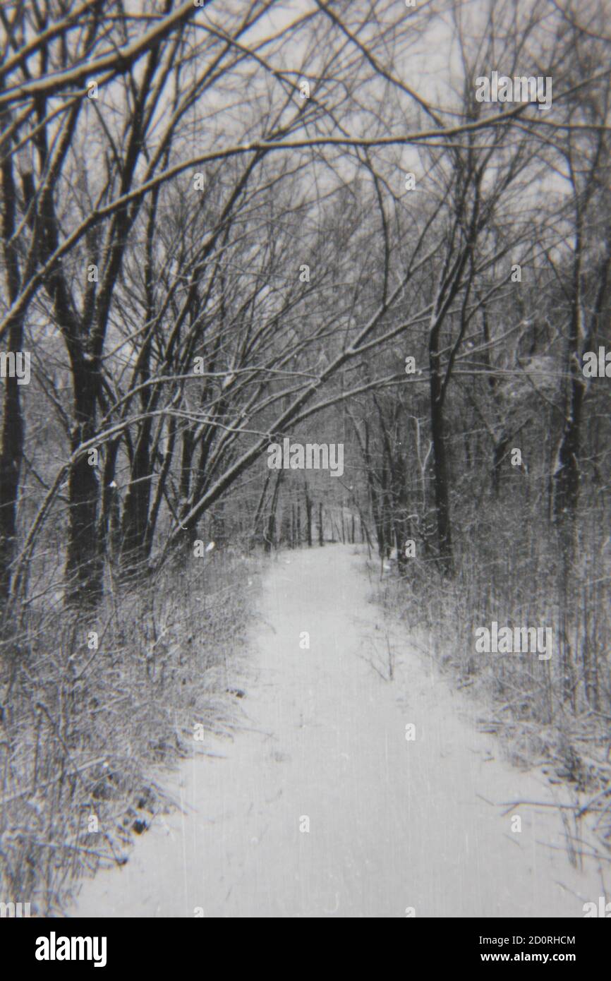 Bella fotografia in bianco e nero degli anni '70 di un percorso che conduce nei boschi innevati. Foto Stock