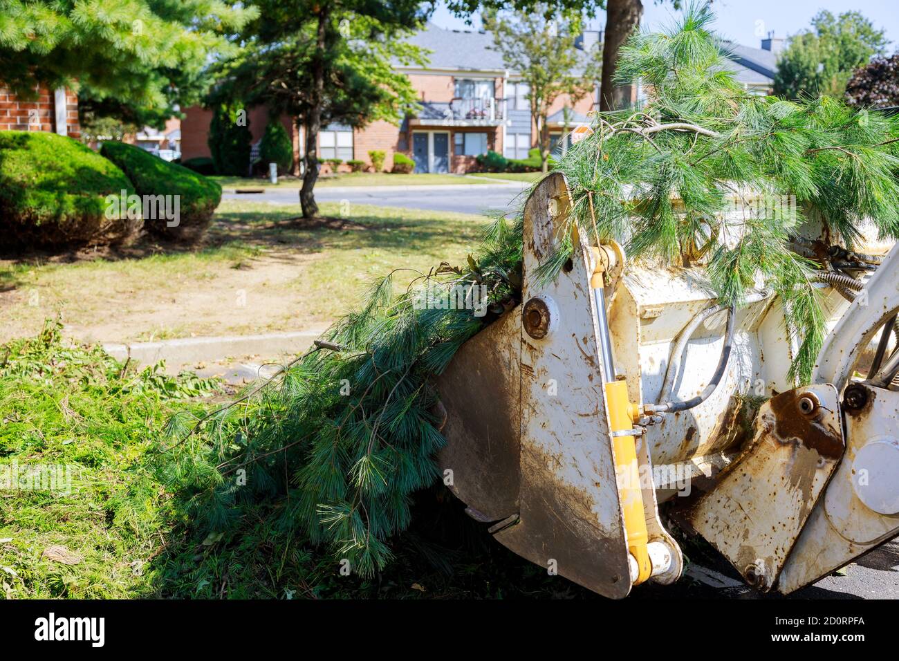 Rimozione di filiali nei lavoratori delle benne dei trattori nelle utenze municipali rami di albero Foto Stock