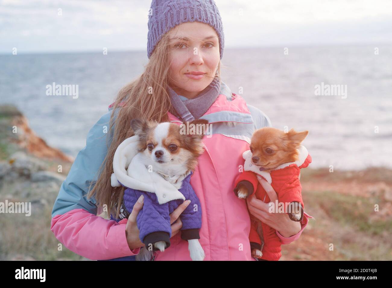 bella giovane donna russa proprietario in cappello e pista di lana tuta che tiene due piccoli cani chihuahua in abiti animali invernali in piedi sulla riva del mare in Foto Stock