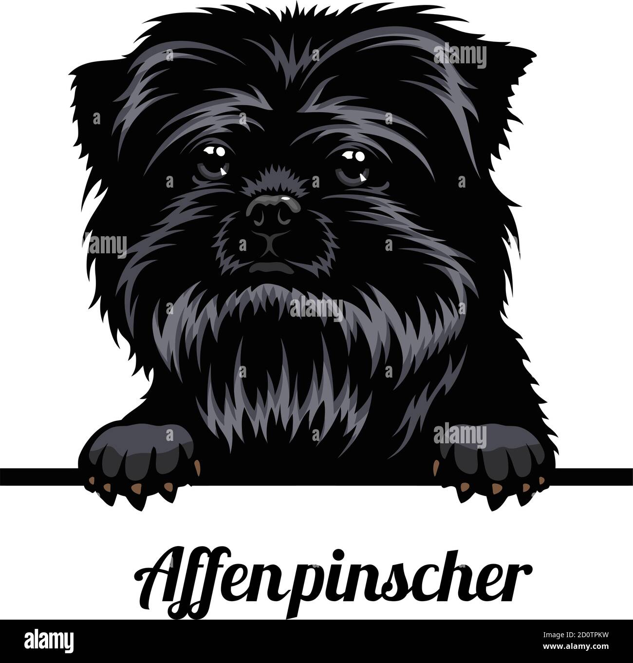 Testa AffenPinscher - razza del cane. Immagine a colori di una testa di cani isolata su uno sfondo bianco Illustrazione Vettoriale