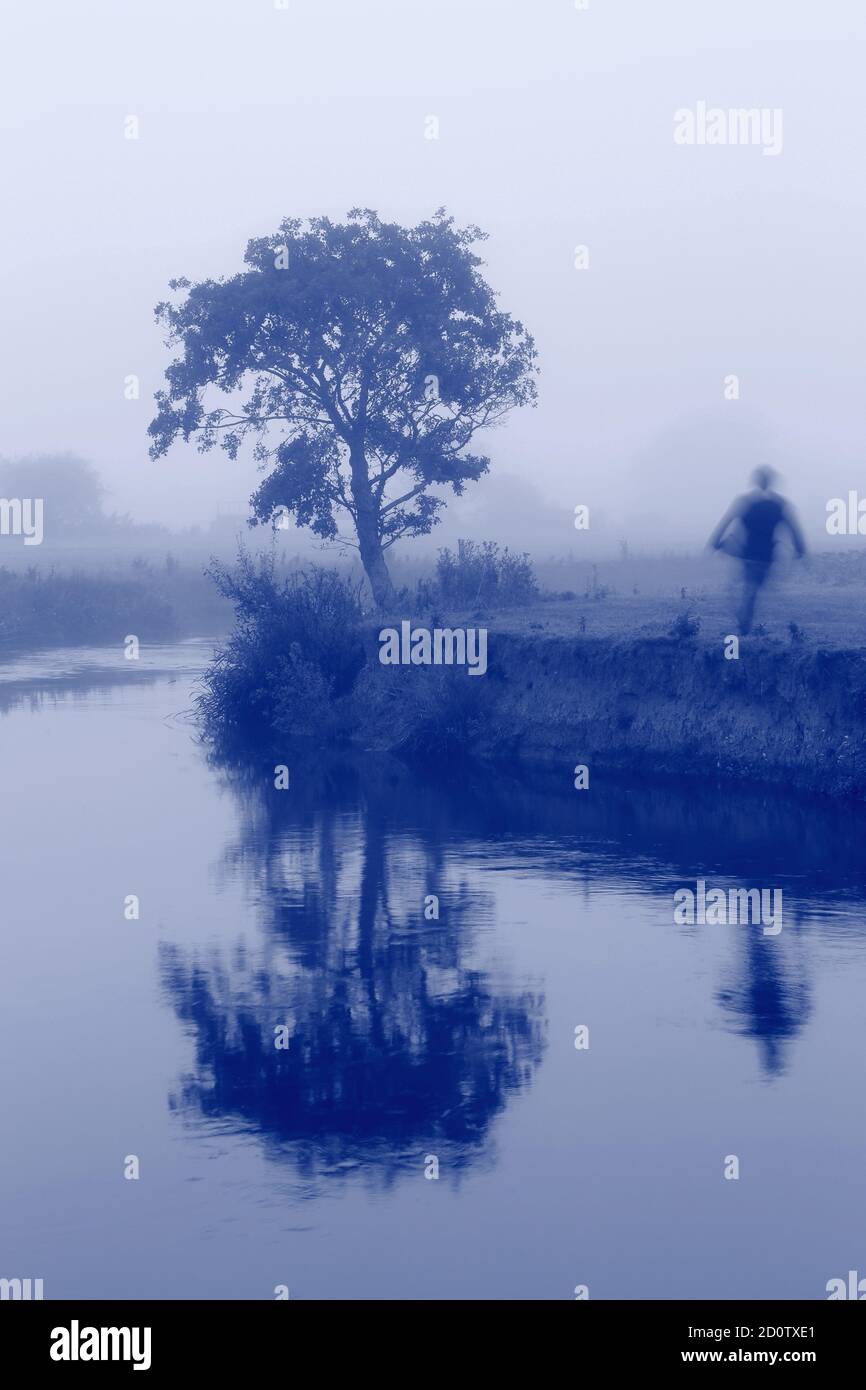 Albero riflesso sul fiume Ax in Devon con la persona sfocata che passa. Immagine monocromatica a toni blu Foto Stock