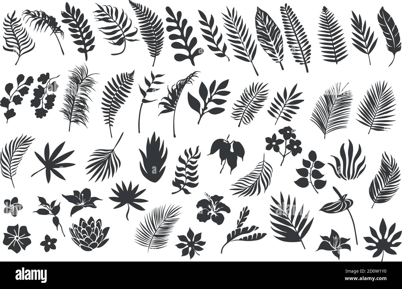 Silhouette di foglie di palma e piante tropicali Illustrazione Vettoriale