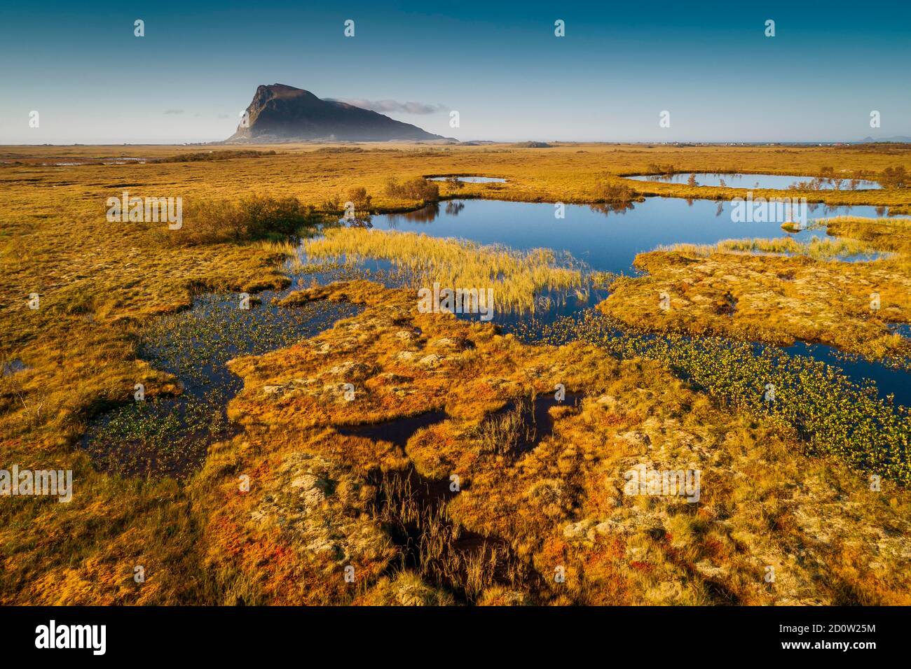 Brughiera coperta da canali d'acqua, con le cime di Hoven sullo sfondo, Vågan, Lofoten, Nordland, Norvegia, Europa Foto Stock