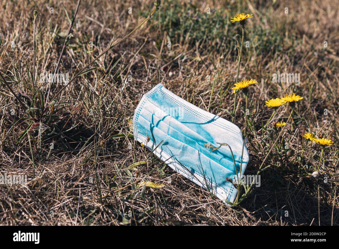 Maschera medica di protezione usata che giace sul concetto di erba di focolaio di coronavirus Foto Stock
