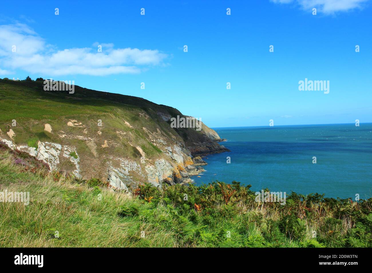 Vista sulle scogliere dell'isola di Howth, Irlanda Foto Stock