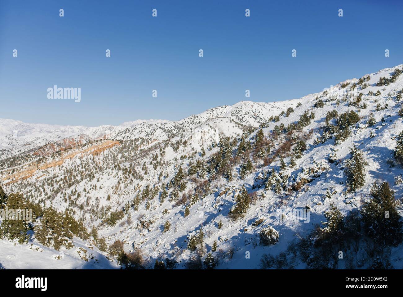 Speroni di neve del Tien Shan in Uzbekistan su un Giorno invernale soleggiato e geloso Foto Stock
