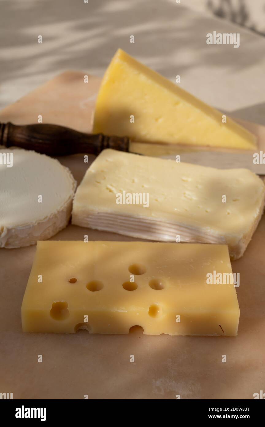 Collezione di formaggi francesi su tavola di marmo, emmental, carre de aurillac, petit cantal AOP Jeune, buche chevre e brie Foto Stock