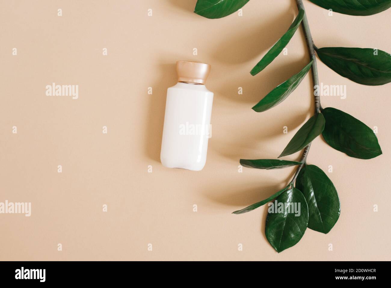 Il concetto di bellezza pura e cosmetici biologici per la cura del corpo. Una bottiglia di crema bianca giace su uno sfondo beige e su un ramo di una pianta tropicale. Foto Stock