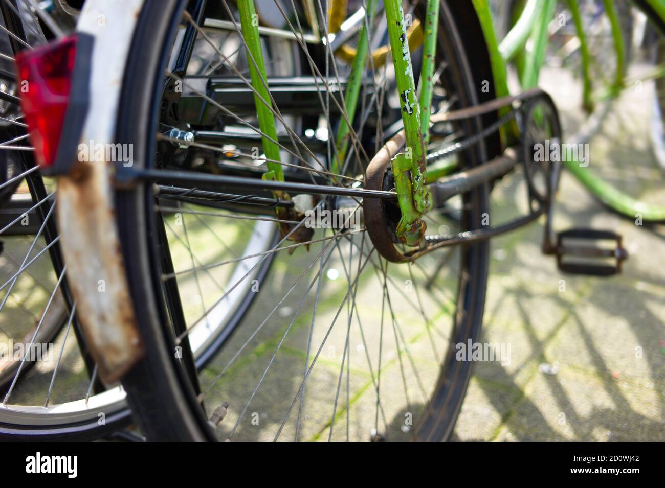 Ruota di bicicletta con fuoco sulla forcella posteriore verde fresca del telaio in un capanno di bicicletta. Profondità di campo ridotta Foto Stock