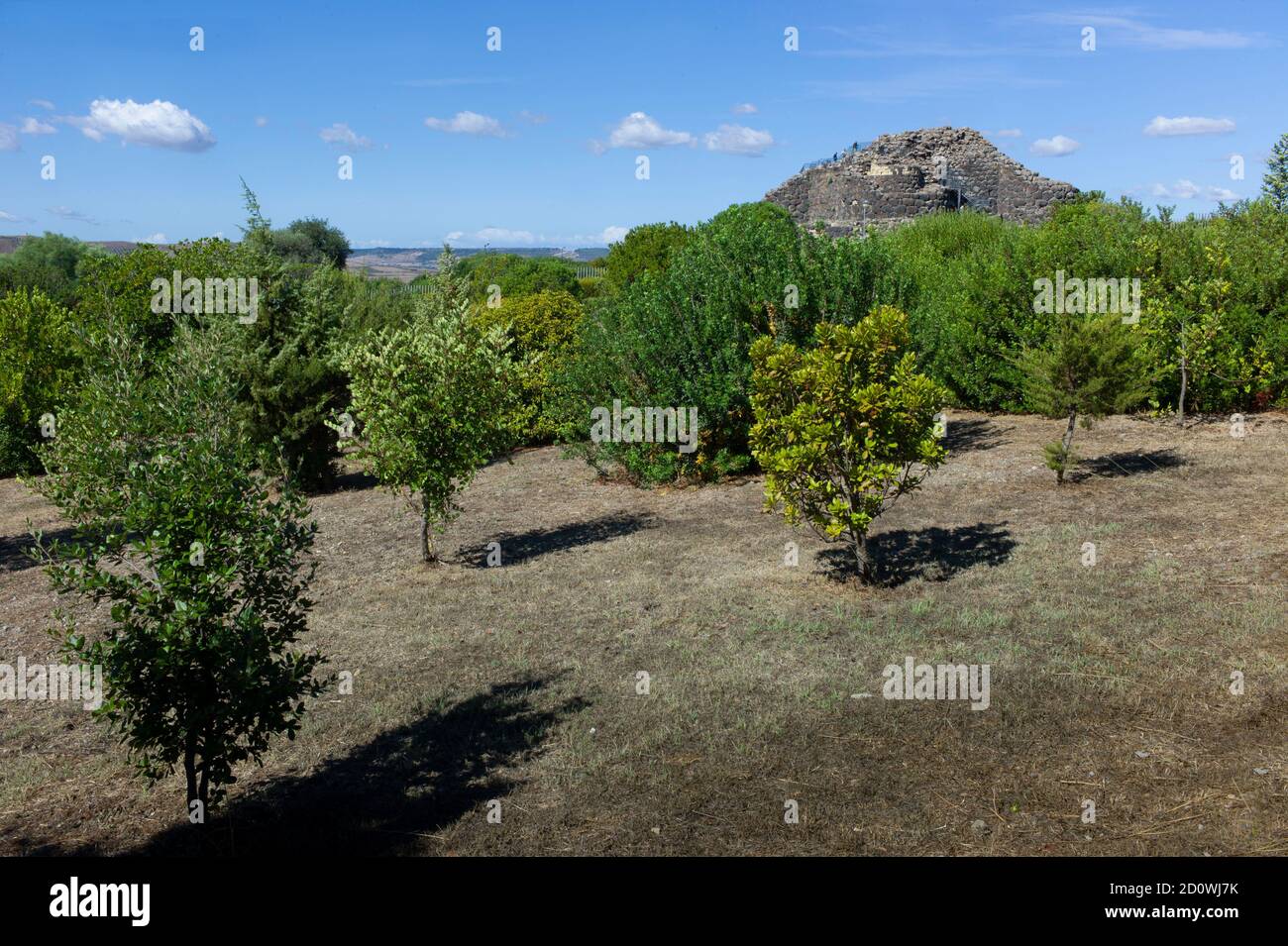 I nuraghi di Barumini, in Sardegna, sono enormi torri enigmatiche di pietre costruite dall'antica civiltà più di 5000 anni fa in Italia Foto Stock