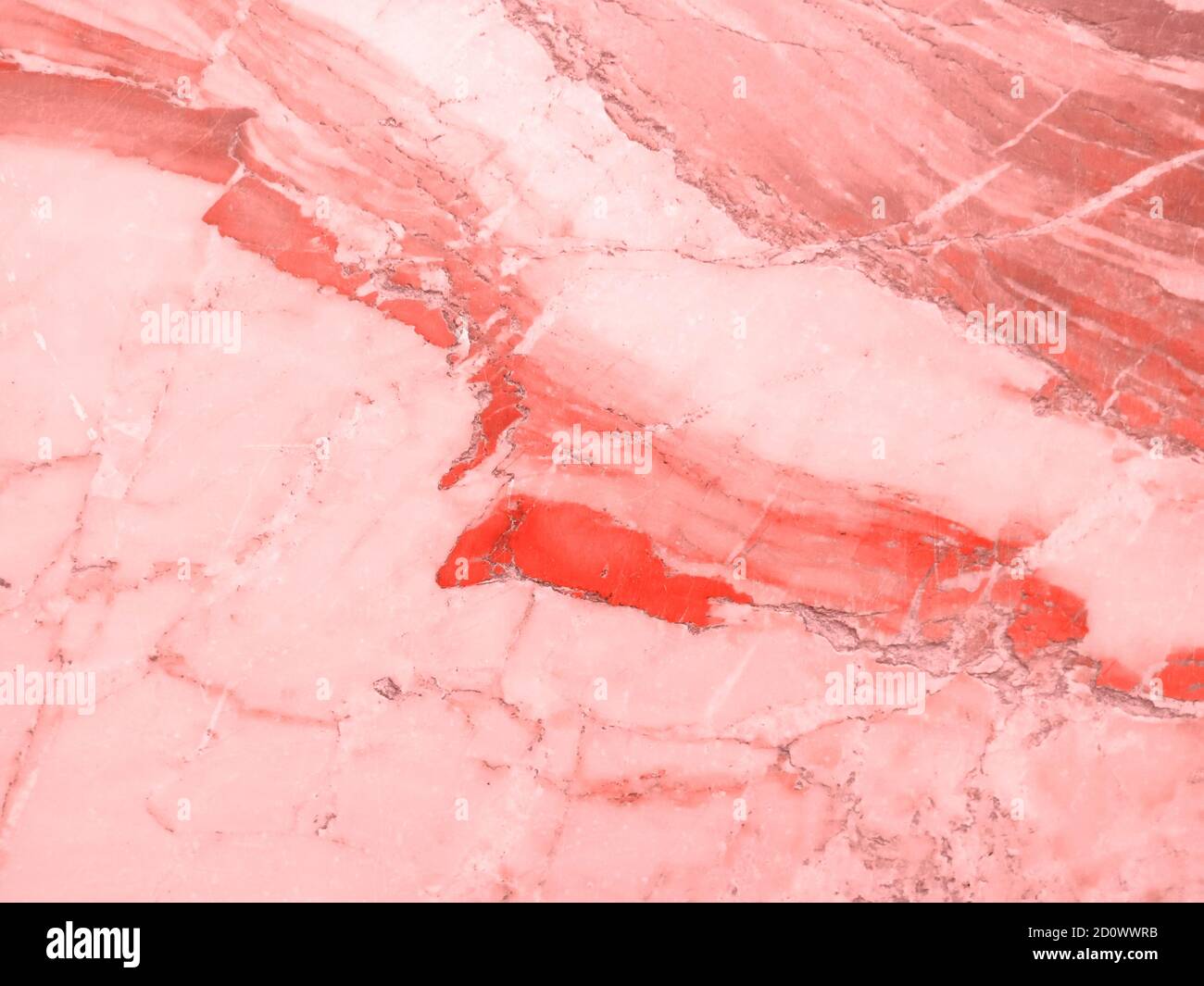 Fotografia di trend sul tema del colore dell'anno 2019 - coralli viventi. Il marmo naturale background - texture. Foto Stock