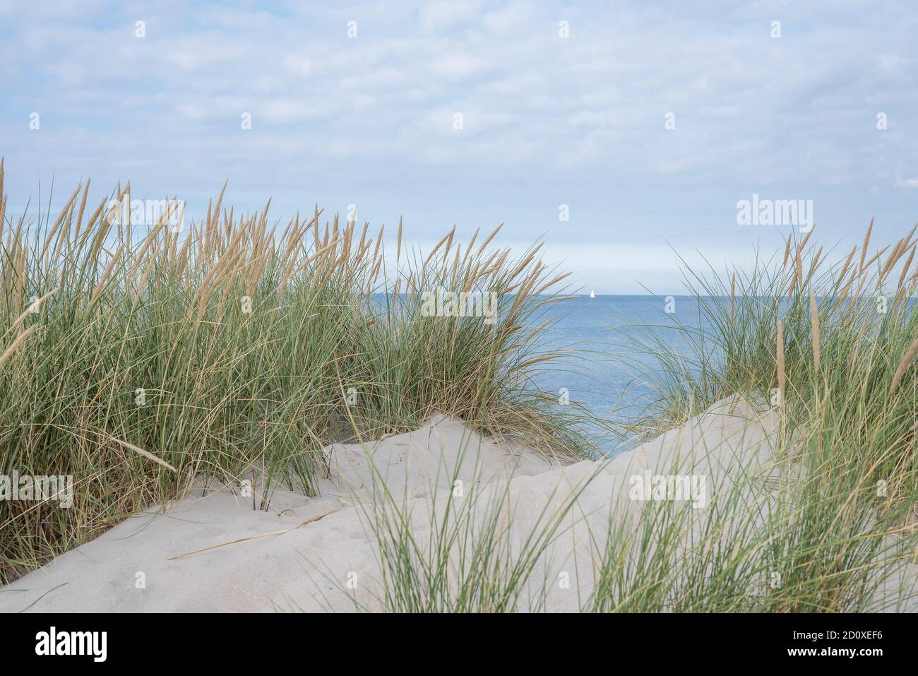 Dune con rene ondeggianti e una barca a vela all'orizzonte, Tisvildeleje, Danimarca, settembre 29,2020 Foto Stock