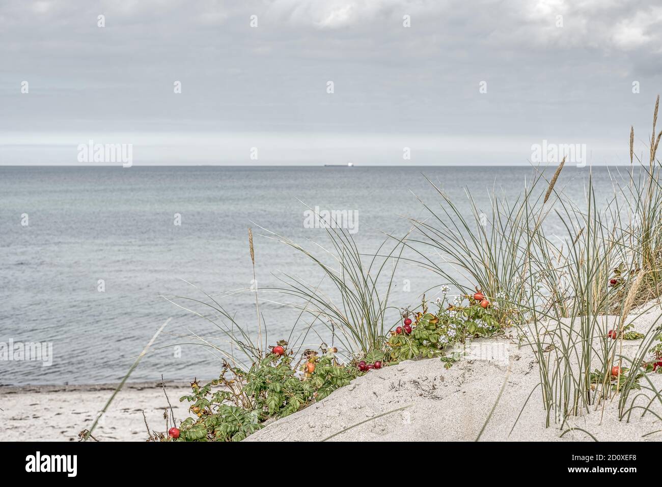 Seggiovia e rana nelle dune e una petroliera all'orizzonte, Tisvildeleje, Danimarca, settembre 29,2020 Foto Stock