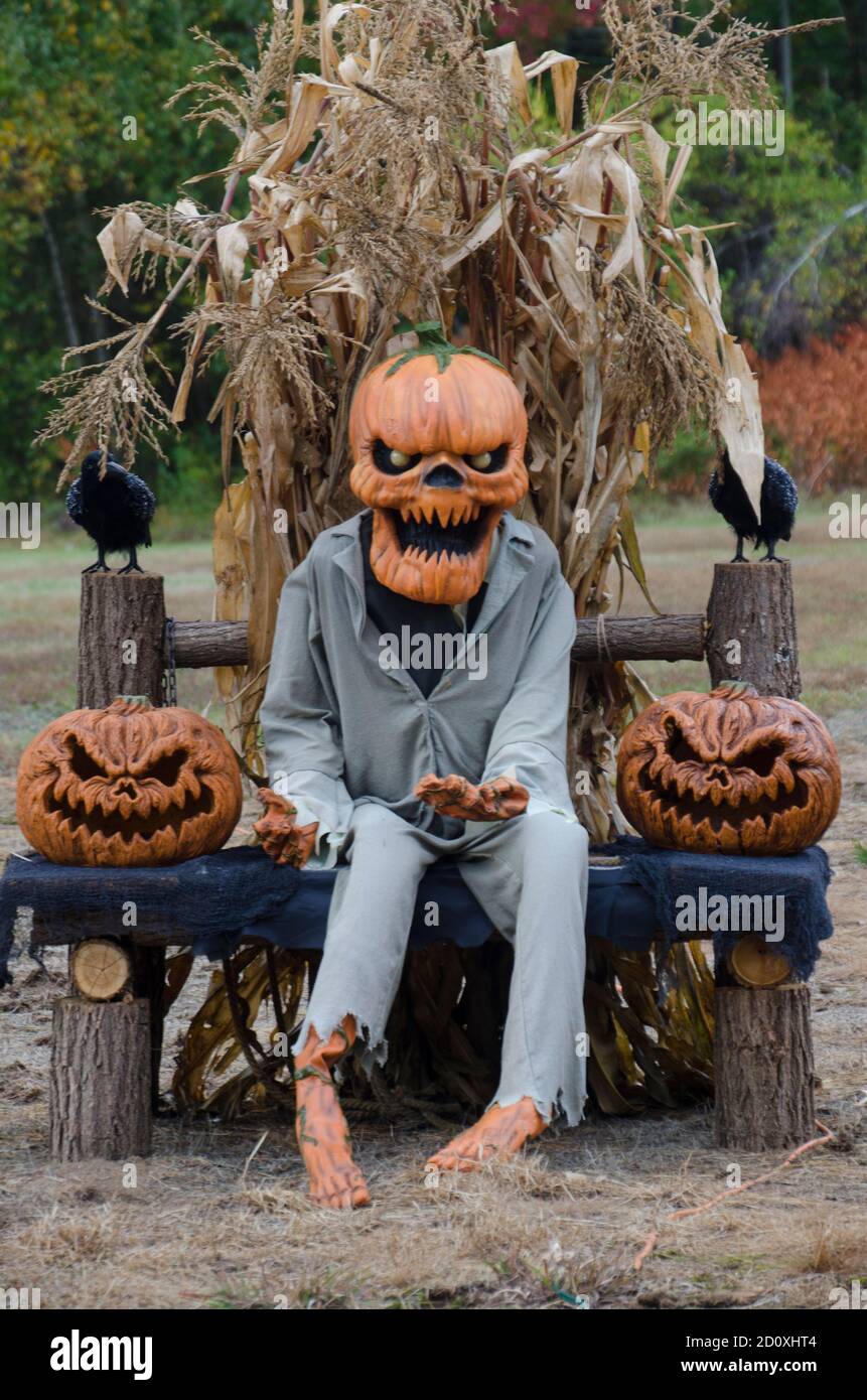 Una spaventosa mostra di Halloween nel Maine rurale con mandrini di mais, zucche intagliate e ghoul seduto a Field, USA Foto Stock