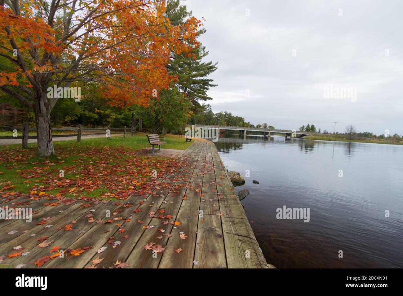 Fine autunno. Le nuvole e le foglie cadono significano la fine della stagione autunnale lungo il fiume Tahquamenon nella penisola superiore del Michigan. Foto Stock