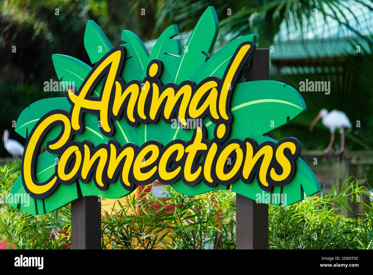 Collegamenti con gli animali, un centro per interazioni ravvicinate con gli animali e opportunità di conservazione nel mondo reale a Busch Gardens Tampa Bay a Tampa, Florida. (STATI UNITI) Foto Stock