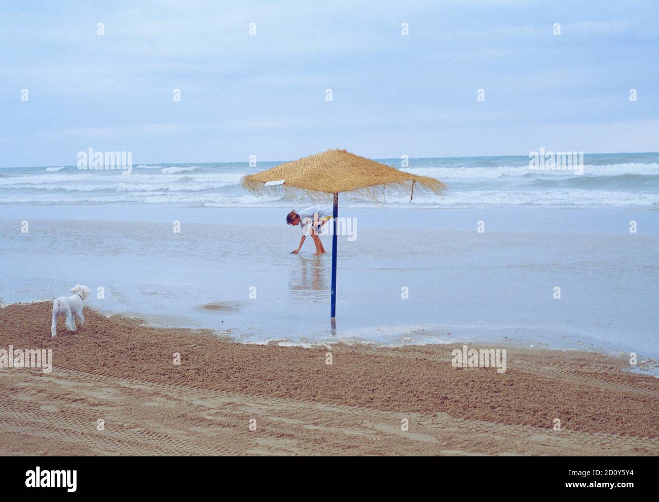 Donna che gioca con il suo cane in spiaggia in una giornata piovosa. Gandia, provincia di valencia, Spagna. Foto Stock