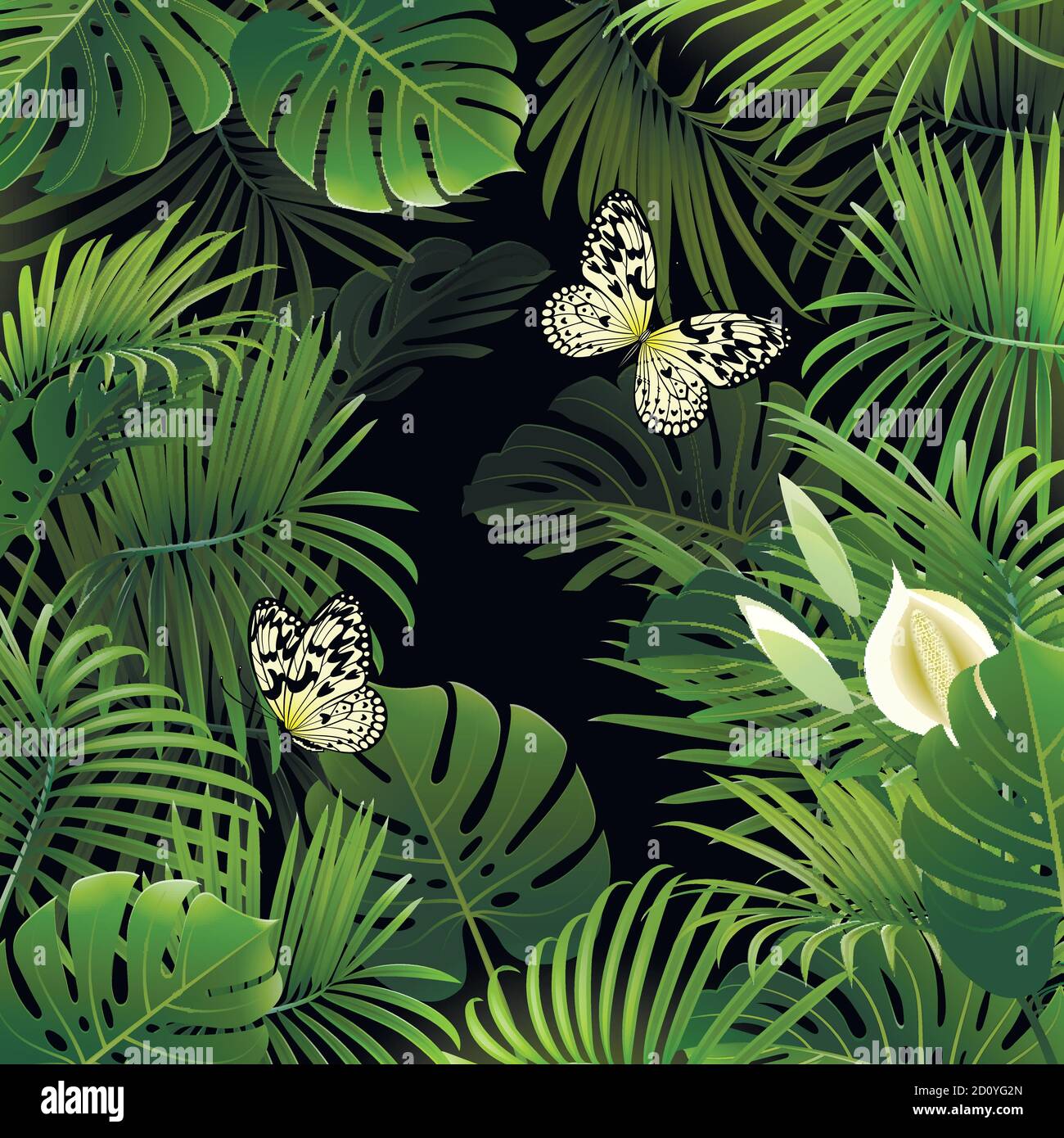banner con piante tropicali e farfalle su sfondo nero Illustrazione Vettoriale