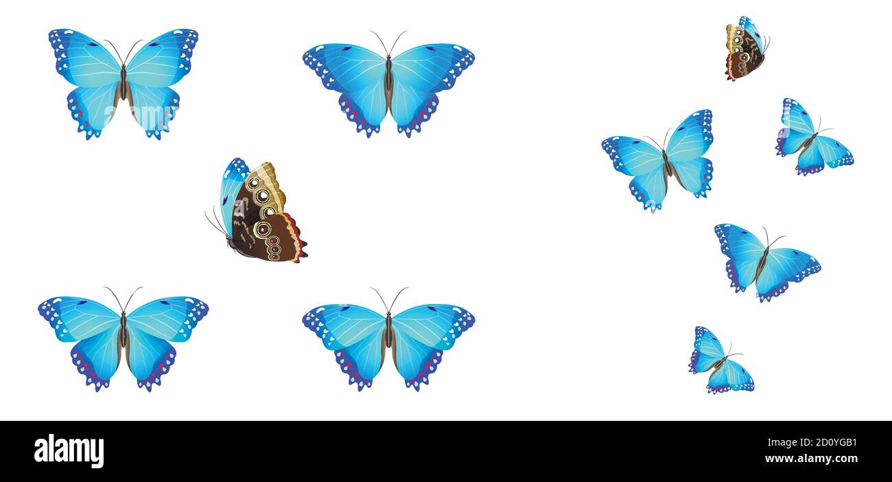 insieme di farfalle blu su sfondo bianco Illustrazione Vettoriale