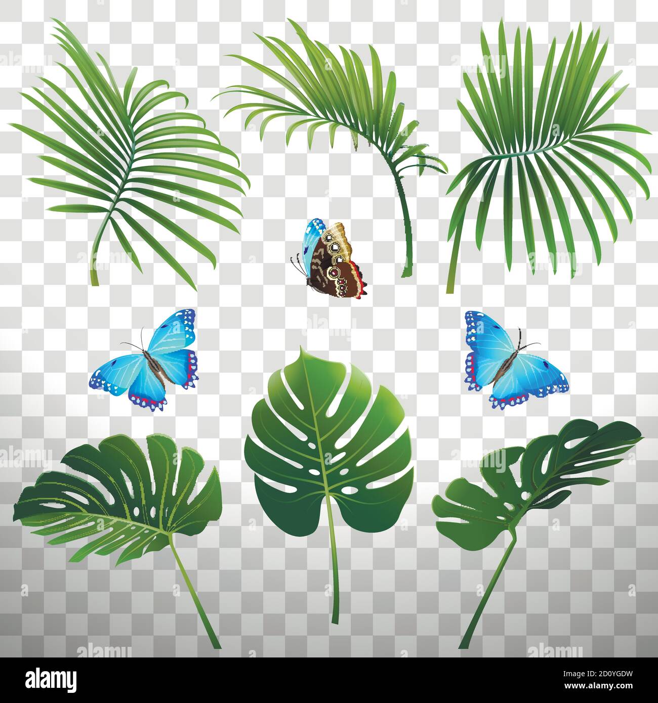 insieme di rami di piante tropicali e farfalle su un sfondo trasparente Illustrazione Vettoriale