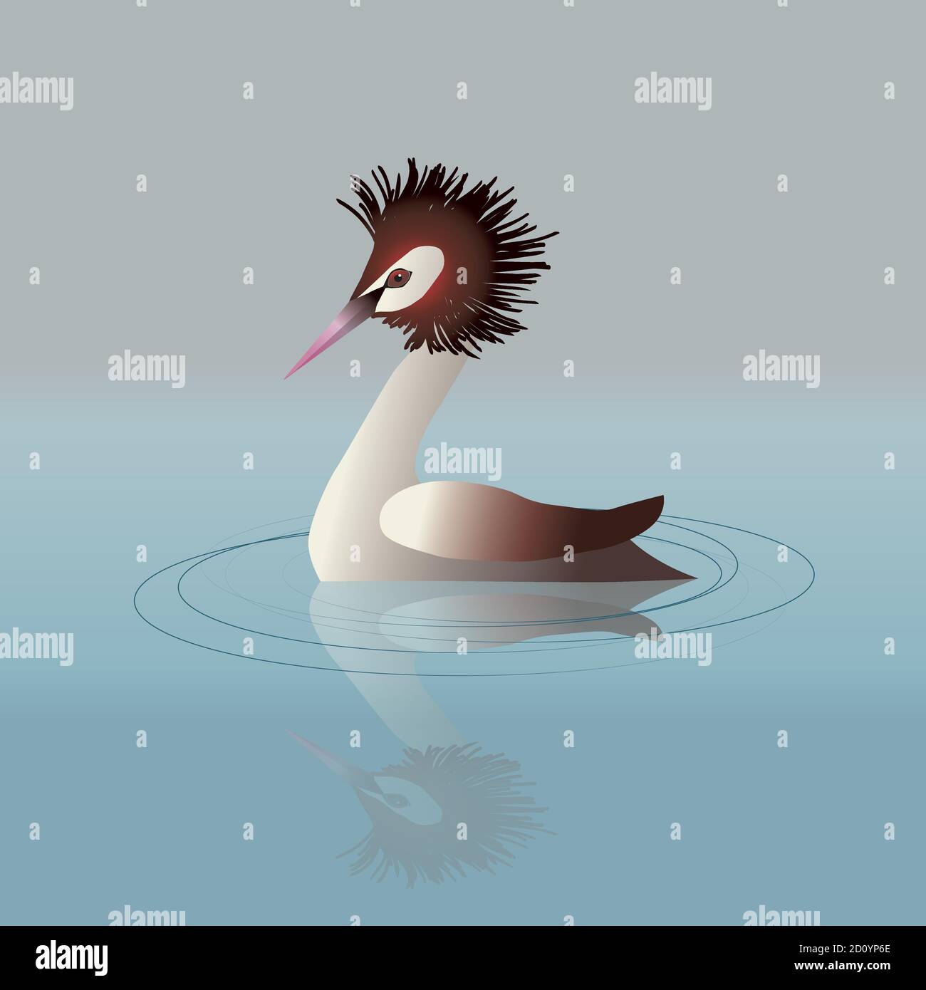 Un'illustrazione vettoriale di un grande grebe crestato che nuota nell'acqua. Illustrazione Vettoriale